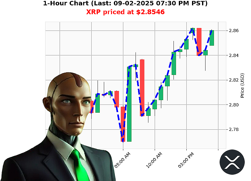 Auctron Chart